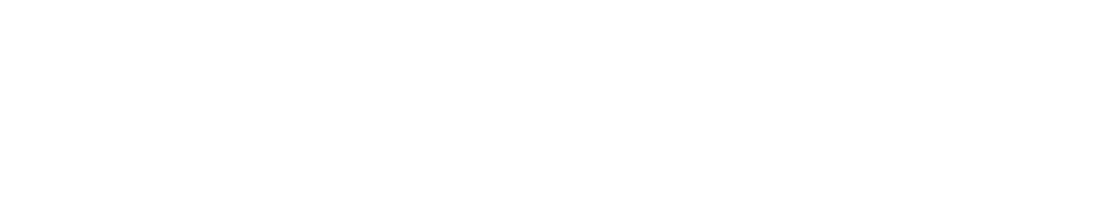 GoLink Bridge Logo W
